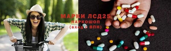 прущие грибы Гусев