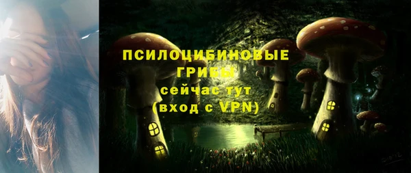 прущие грибы Гусев