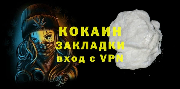 прущие грибы Гусев