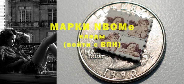 прущие грибы Гусев
