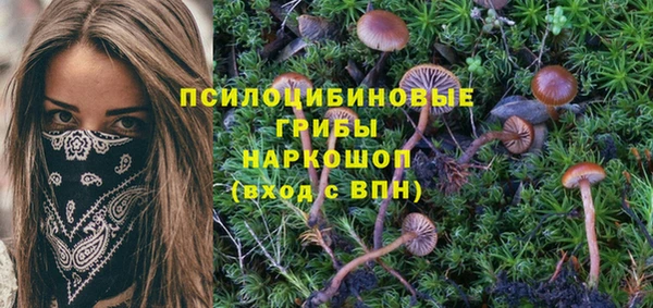 MDMA Гусь-Хрустальный