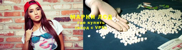 прущие грибы Гусев