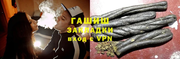 прущие грибы Гусев